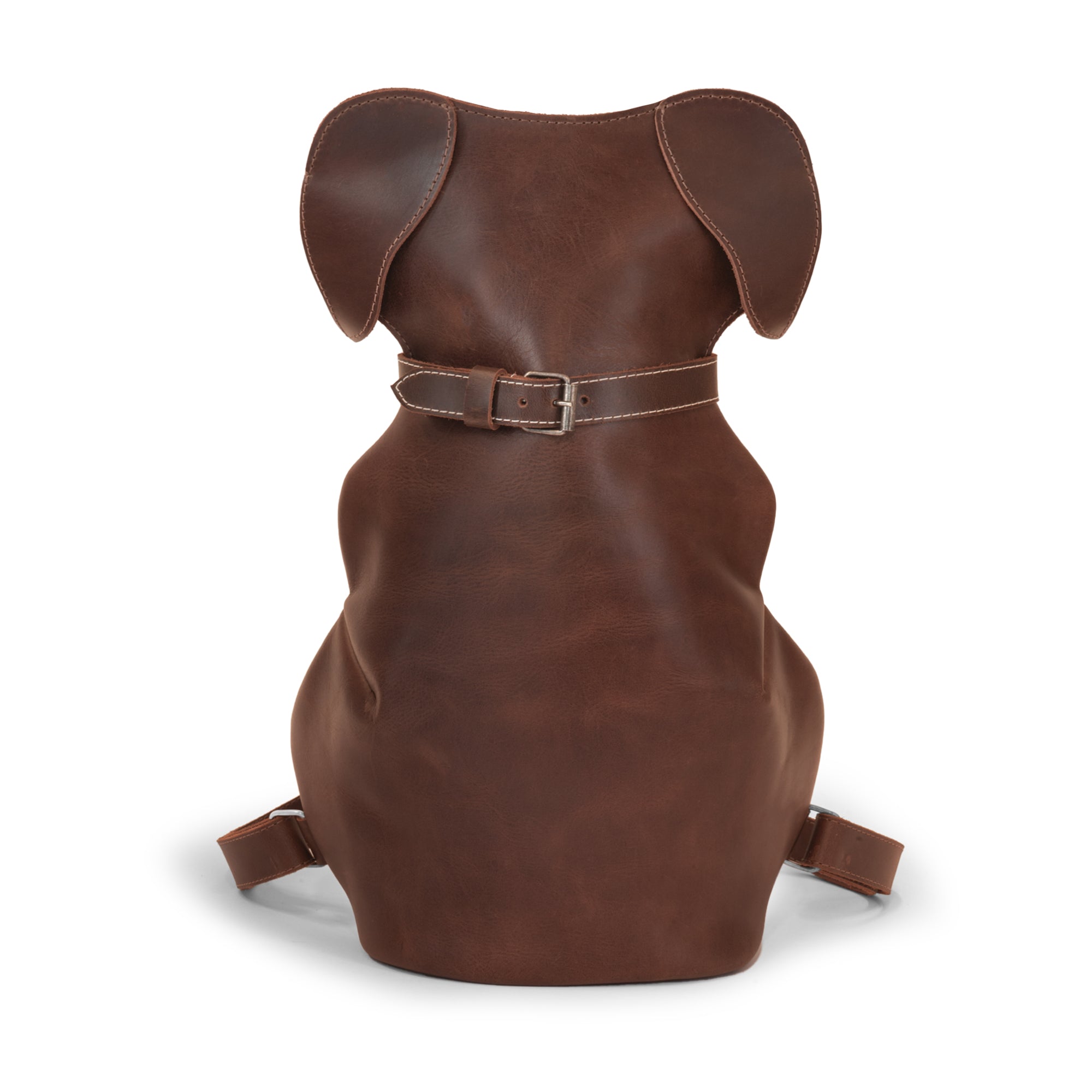 Leather Doggy Backpack