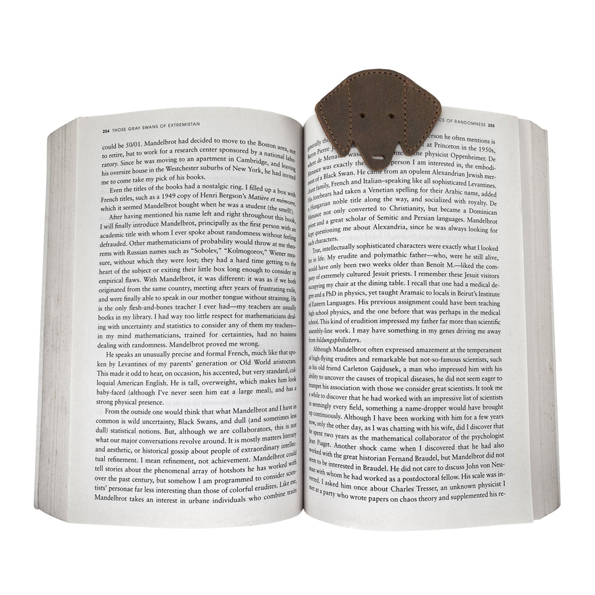 Close-up of Taco Dog Dog Bookmark, highlighting its cute dog design and rustic color. This soft and durable bookmark is ideal for book lovers and dog enthusiasts alike, crafted from full grain leather with small batch production and artisan handiwork in La Antigua Guatemala.