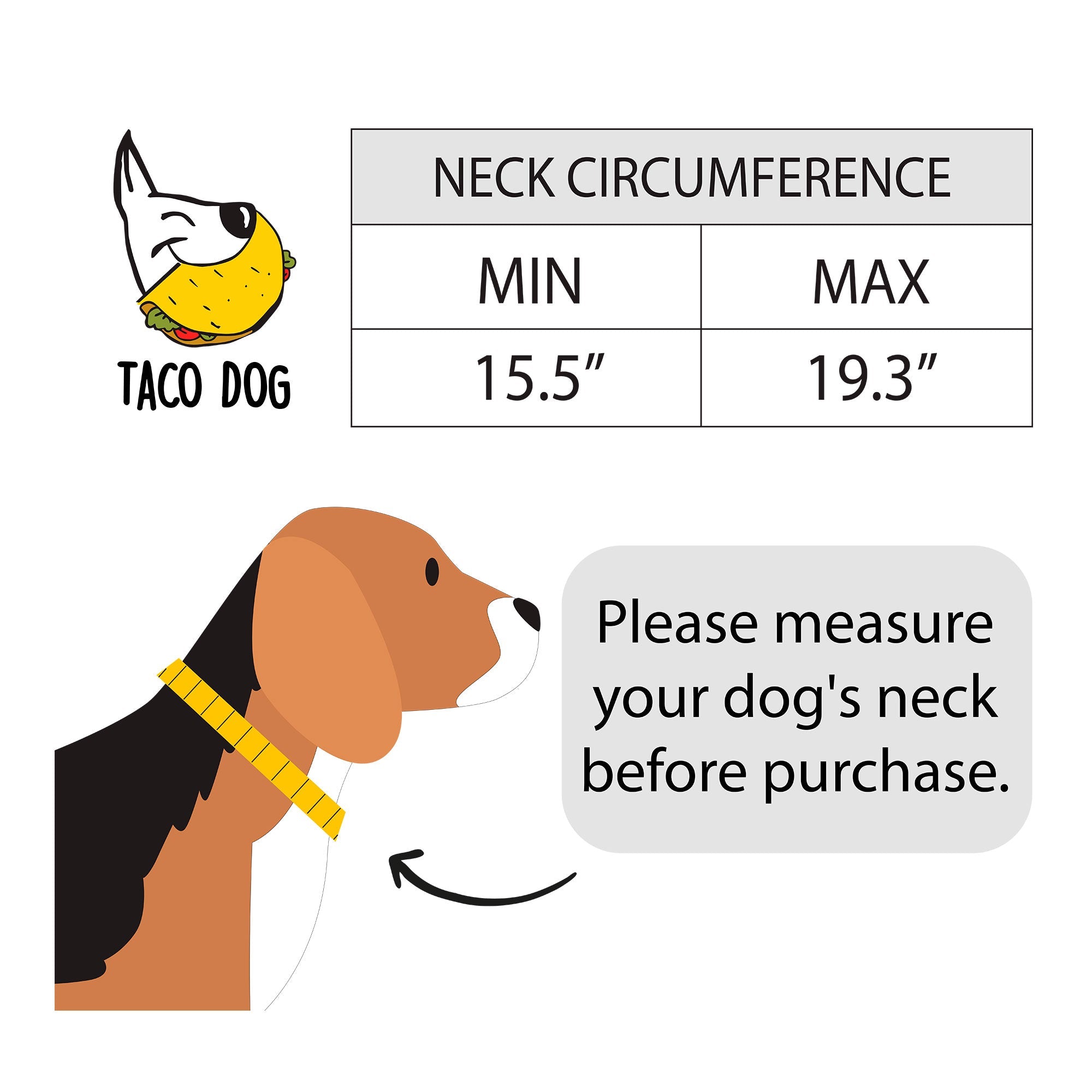 Unique Double Layer Dog Collar by Taco Dog, showcasing thick full grain leather intended for large dogs, with 6 adjustable holes and solid metal hardware. This artisan-made collar is a safe and durable pet accessory, expertly handcrafted in La Antigua Guatemala & Oaxaca Mexico.