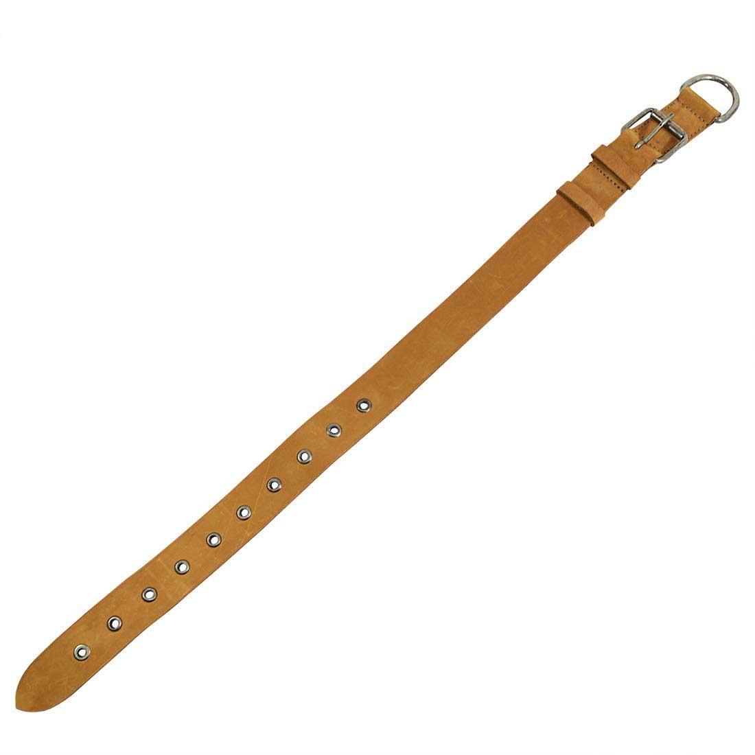 Thick Leather Dog Collar - Stockyard X 'The Leather Store'