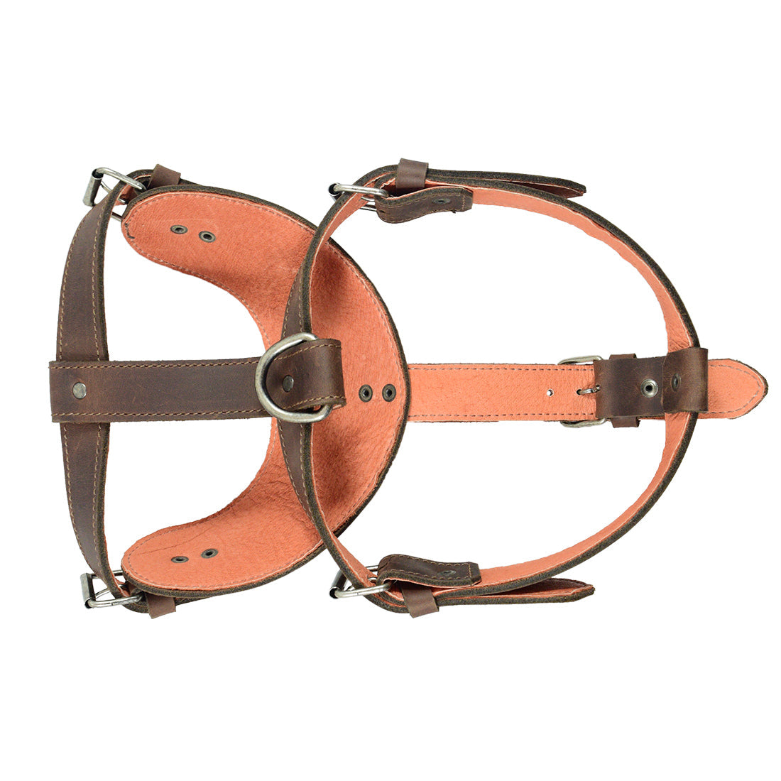 Hide & Drink Dog Harness displayed with its tags, emphasizing the quality materials and careful construction. Made from Full Grain Leather, this adjustable harness is crafted by skilled artisans, perfect for the discerning dog owner.