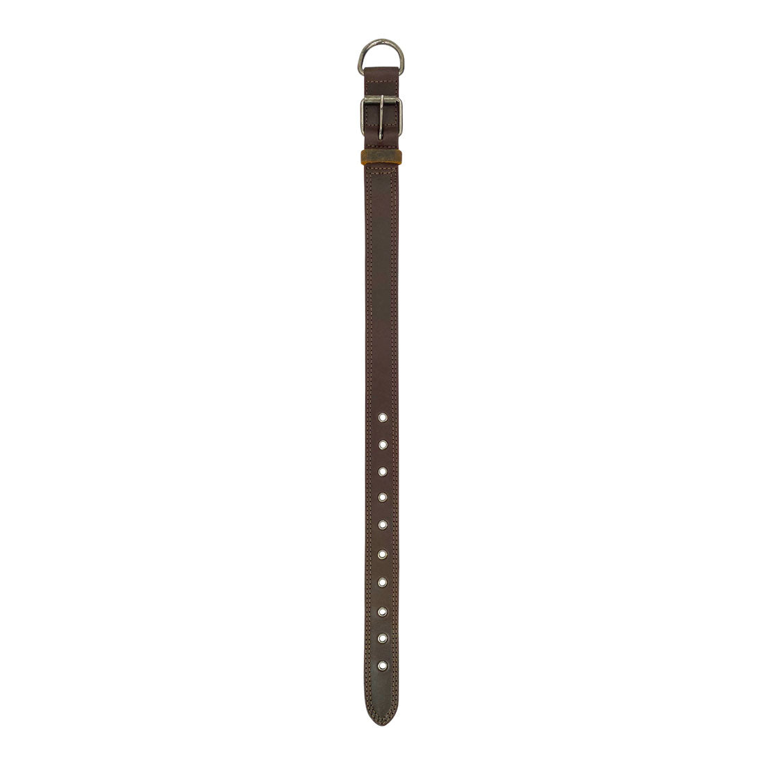 Long view of Taco Dog Rustic Leather Dog Collar displaying its sleek full grain leather finish, ideal for medium to large dogs. Features a strong adjustable buckle and metal D ring, crafted with care in La Antigua Guatemala.