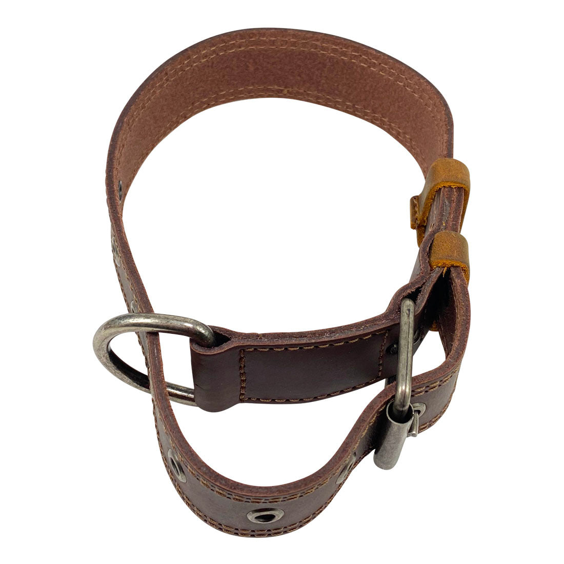Top-down view of Taco Dog Rustic Leather Dog Collar featuring its sturdy design in full grain leather, ideal for medium to large dogs. Equipped with an adjustable buckle and metal D ring, handcrafted in La Antigua Guatemala.
