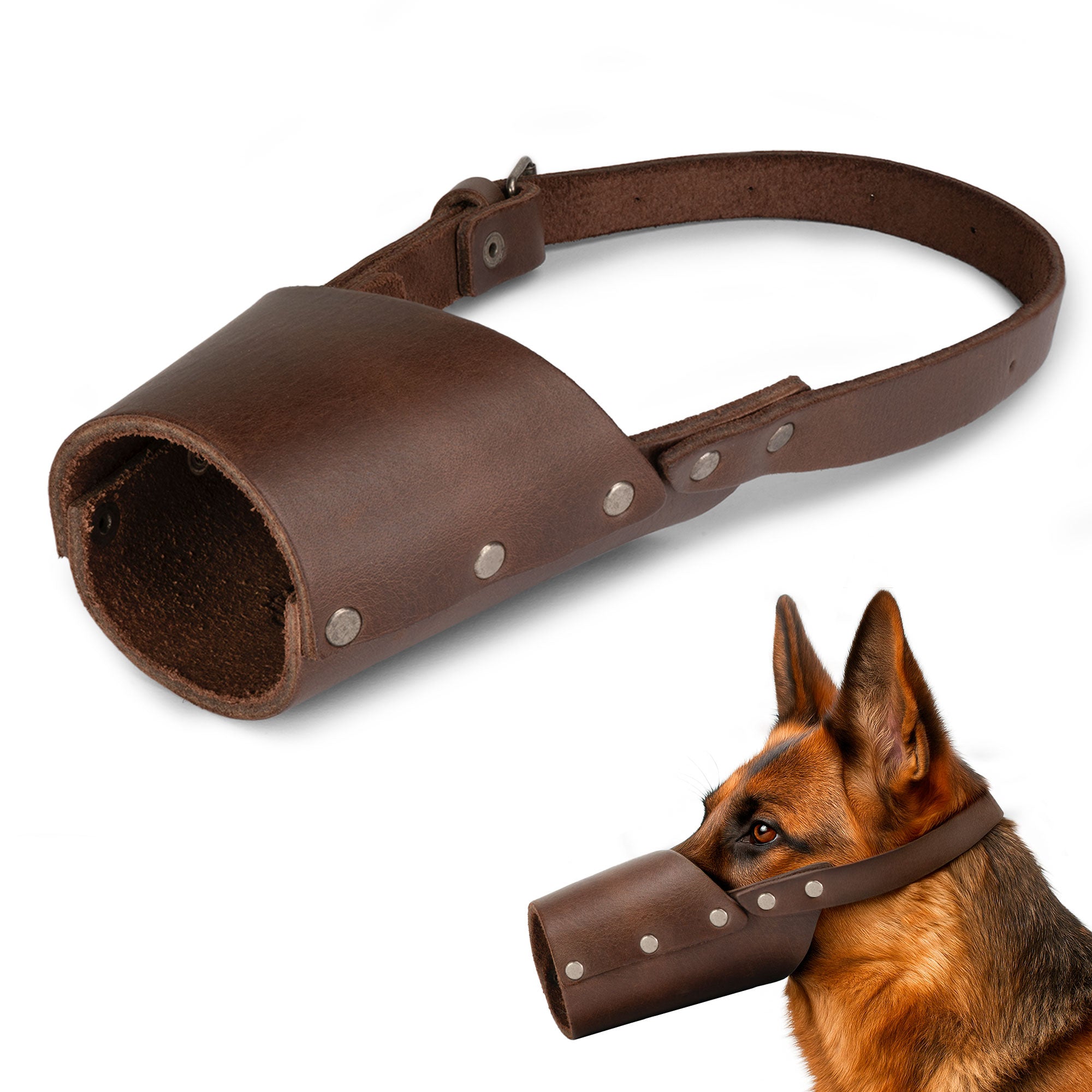 Taco Dog Dog Muzzle worn by a dog, highlighting the secure fit and comfortable design made from full grain leather, perfect for training and preventing unwanted behavior.