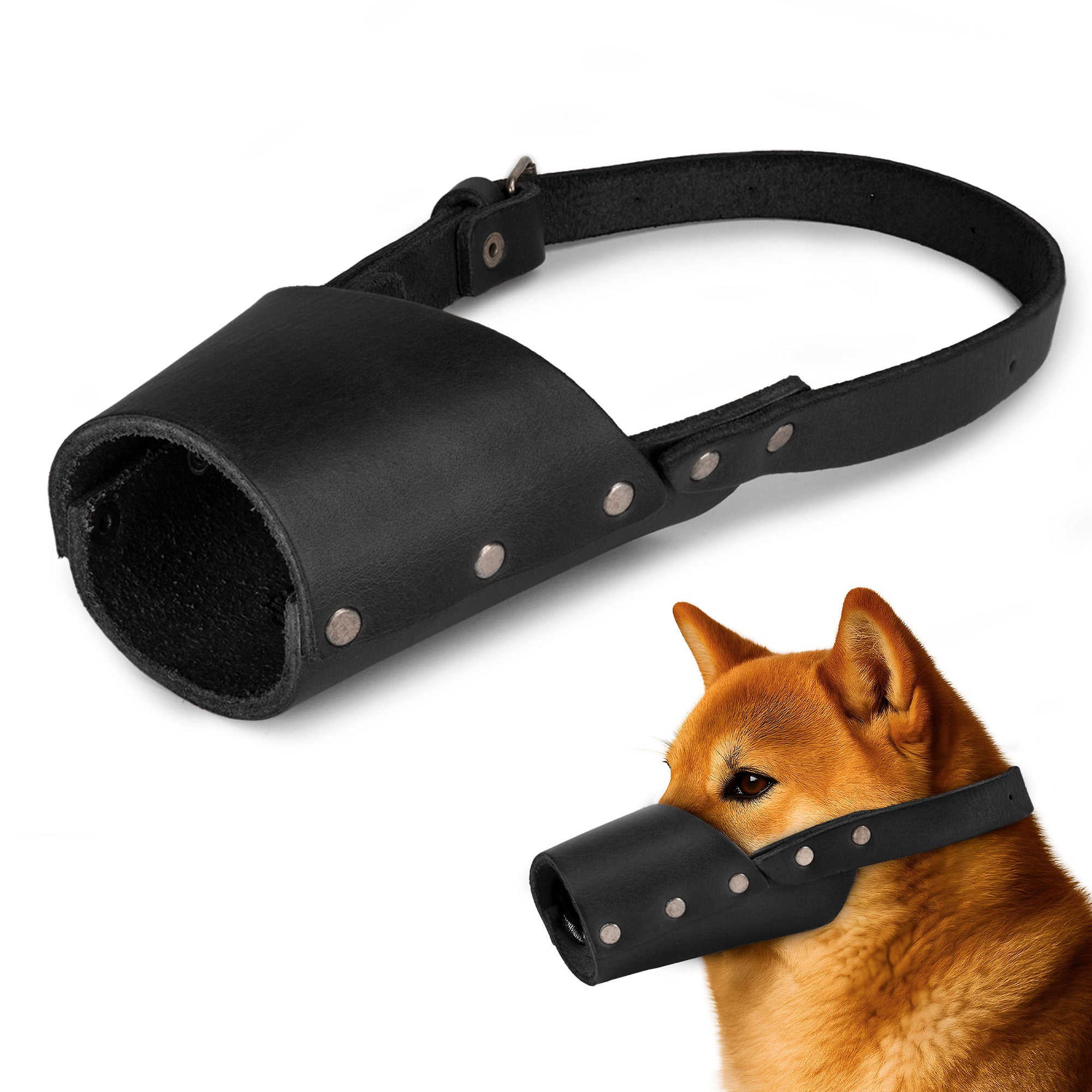 Taco Dog Dog Muzzle displayed on a dog, emphasizing its comfortable yet secure design made from full grain leather. Ideal for training and preventing biting.