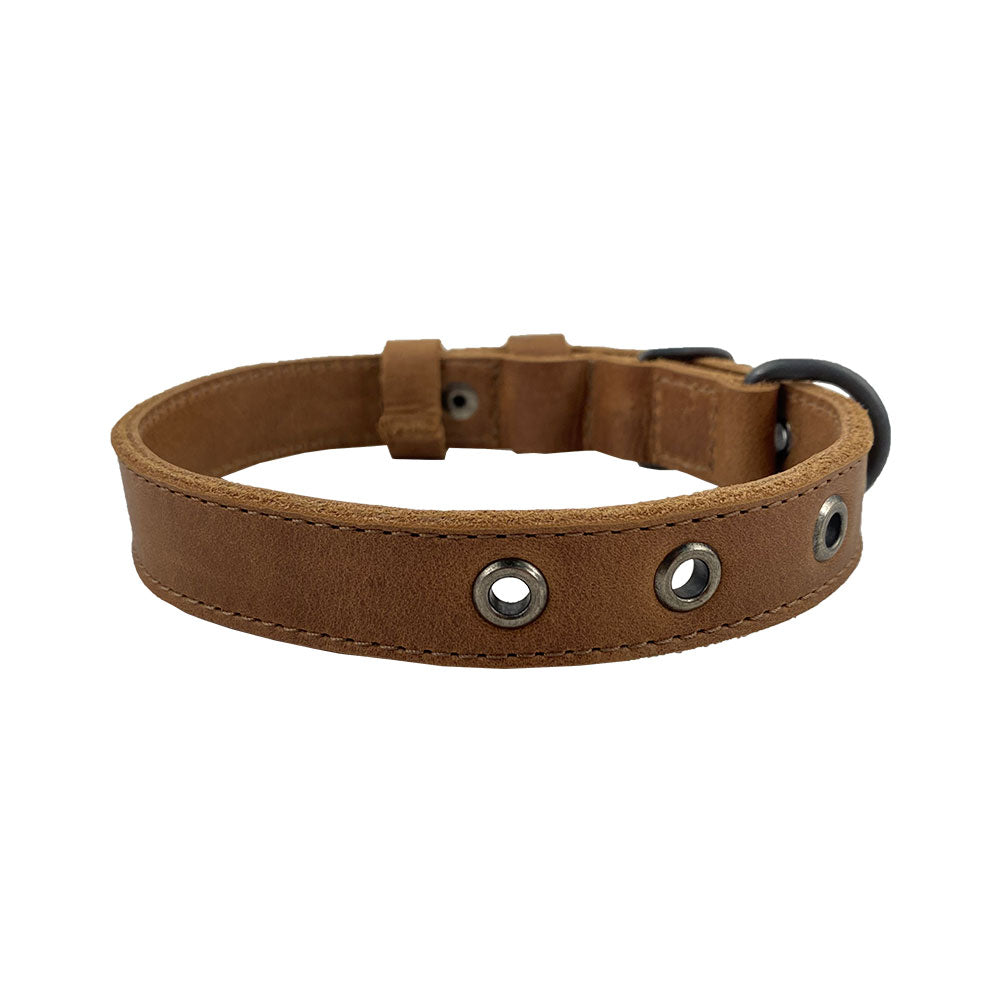 Slim Leather Dog Collar - Stockyard X 'The Leather Store'