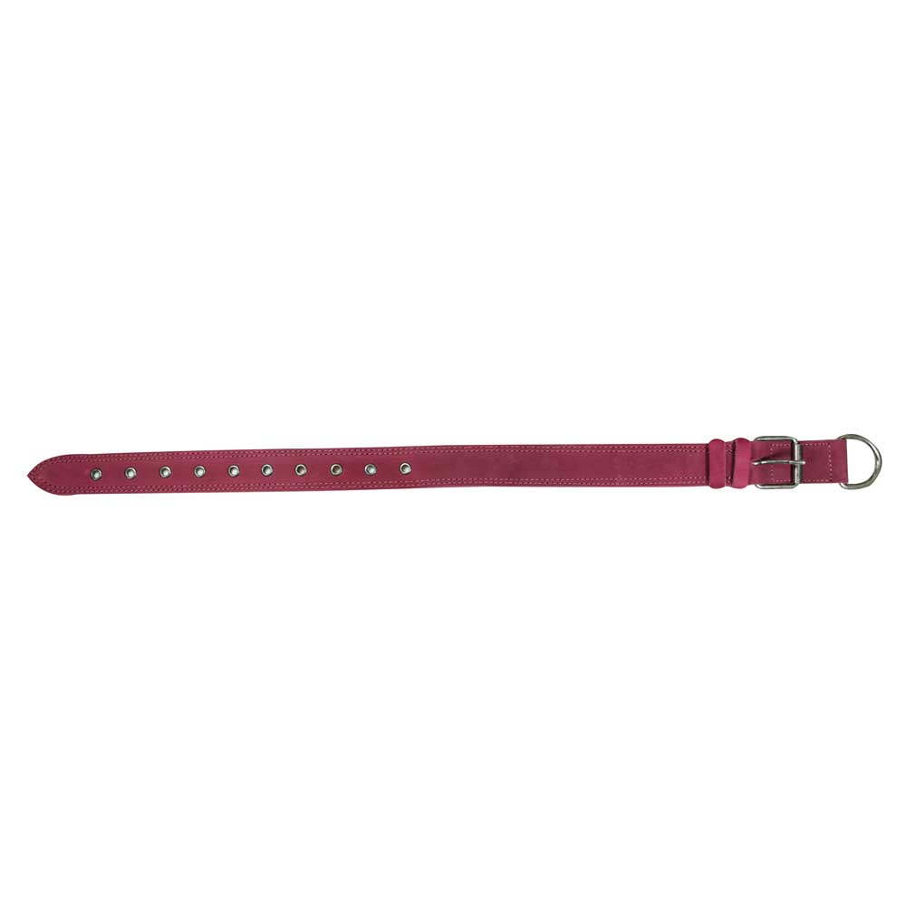 Leather Medium Dog Collar (12 to 21 in.) - Stockyard X 'The Leather Store'