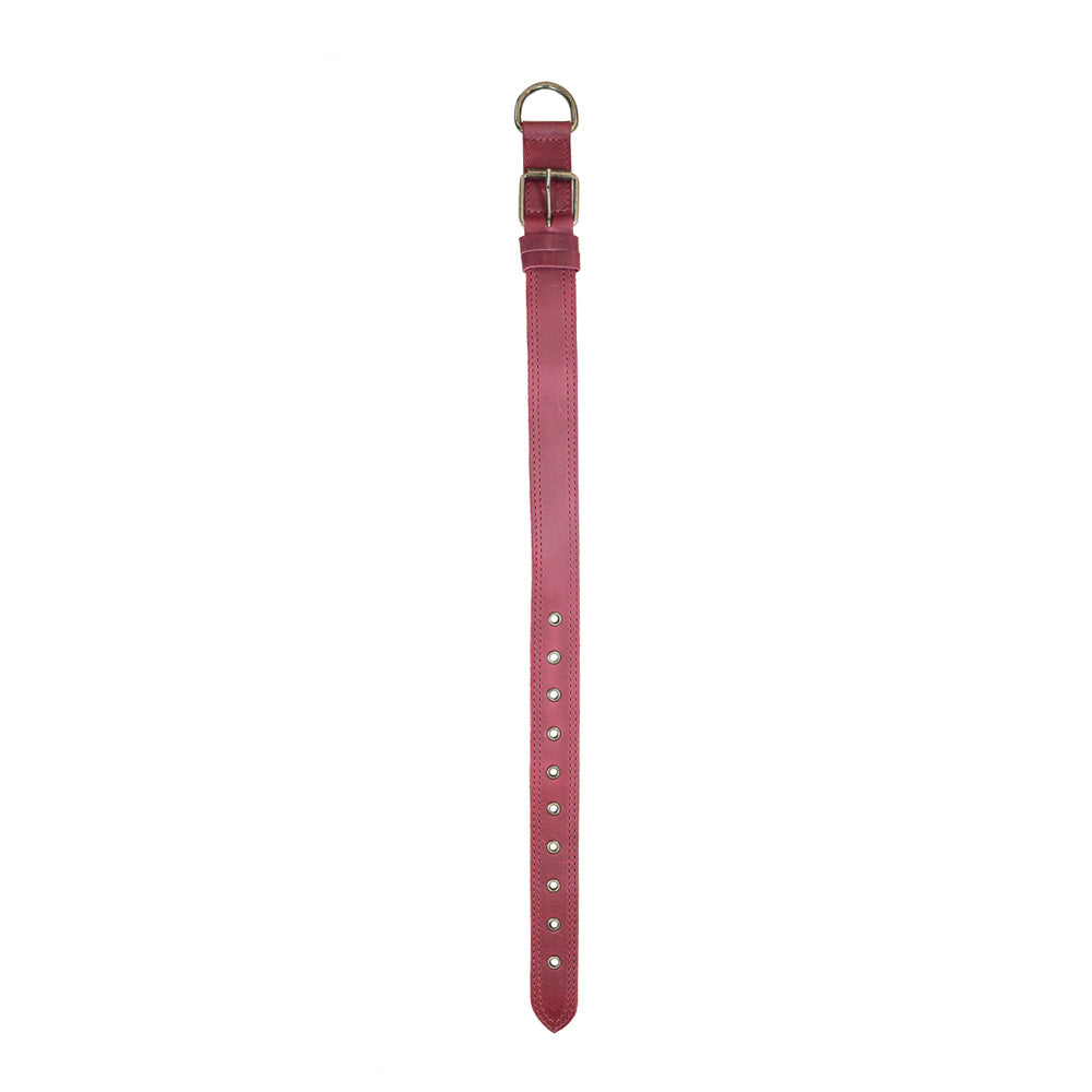 Leather Medium Dog Collar (12 to 21 in.) - Stockyard X 'The Leather Store'