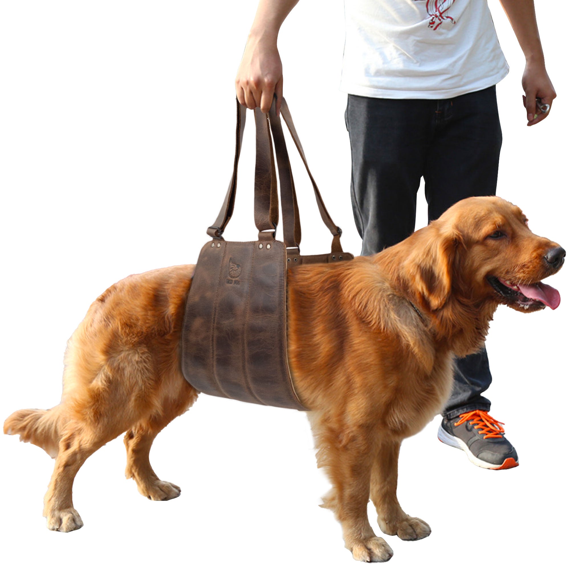 Artistic view of the Rustic Dog Lift Harness by Taco Dog, featuring its ergonomic design made from soft Full Grain Leather. This handmade support belt is perfect for dog rehabilitation, designed to help pets regain mobility. Crafted through small batch production, the harness is hand cut and sewn, showcasing exquisite artisan craftsmanship, made in La Antigua Guatemala & Oaxaca Mexico.