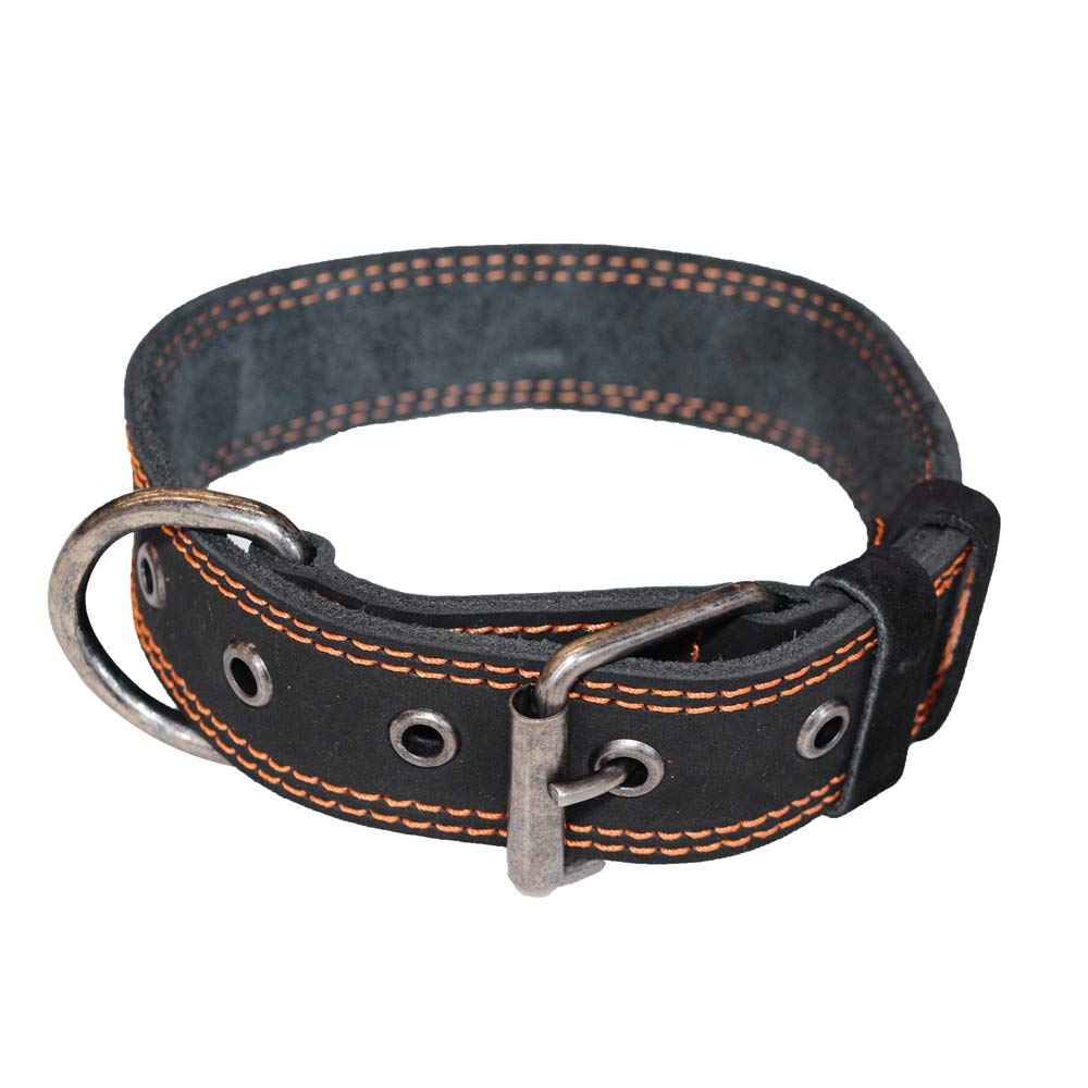 Dog Collar Thick for Small Sized Dogs - Stockyard X 'The Leather Store'