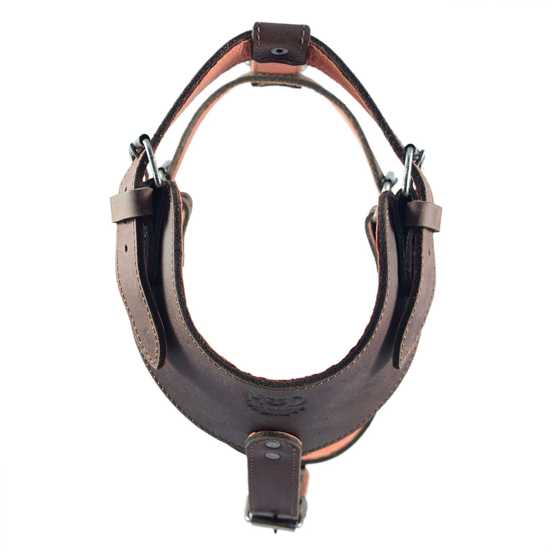 Top view of the Hide & Drink Dog Harness, highlighting the fine stitching and premium Full Grain Leather. This artisan-made dog harness showcases hand cut and hand sewn details that reflect the quality craftsmanship of small batch production in La Antigua Guatemala.