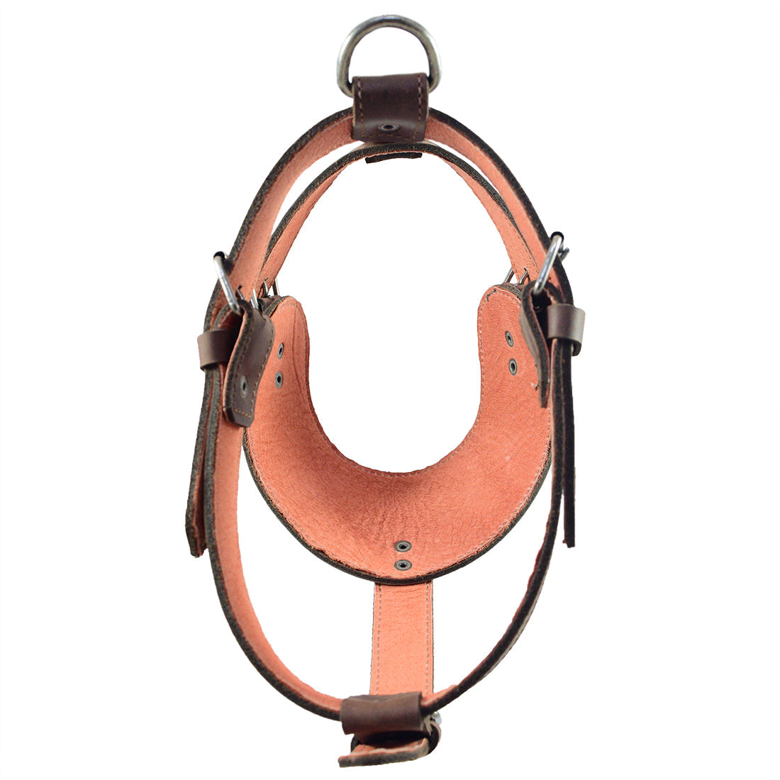 The Hide & Drink Dog Harness from underneath, illustrating its adjustable structure and comfortable fit. This artisan product is crafted from Full Grain Leather, fire branded for durability, ensuring your dog stays secure and stylish.