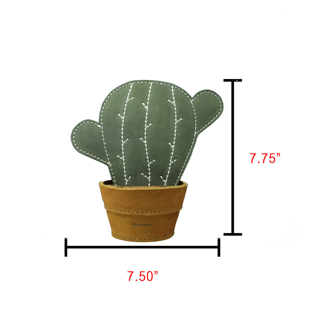 Cactus Coaster W/Pen Holder - Stockyard X 'The Leather Store'
