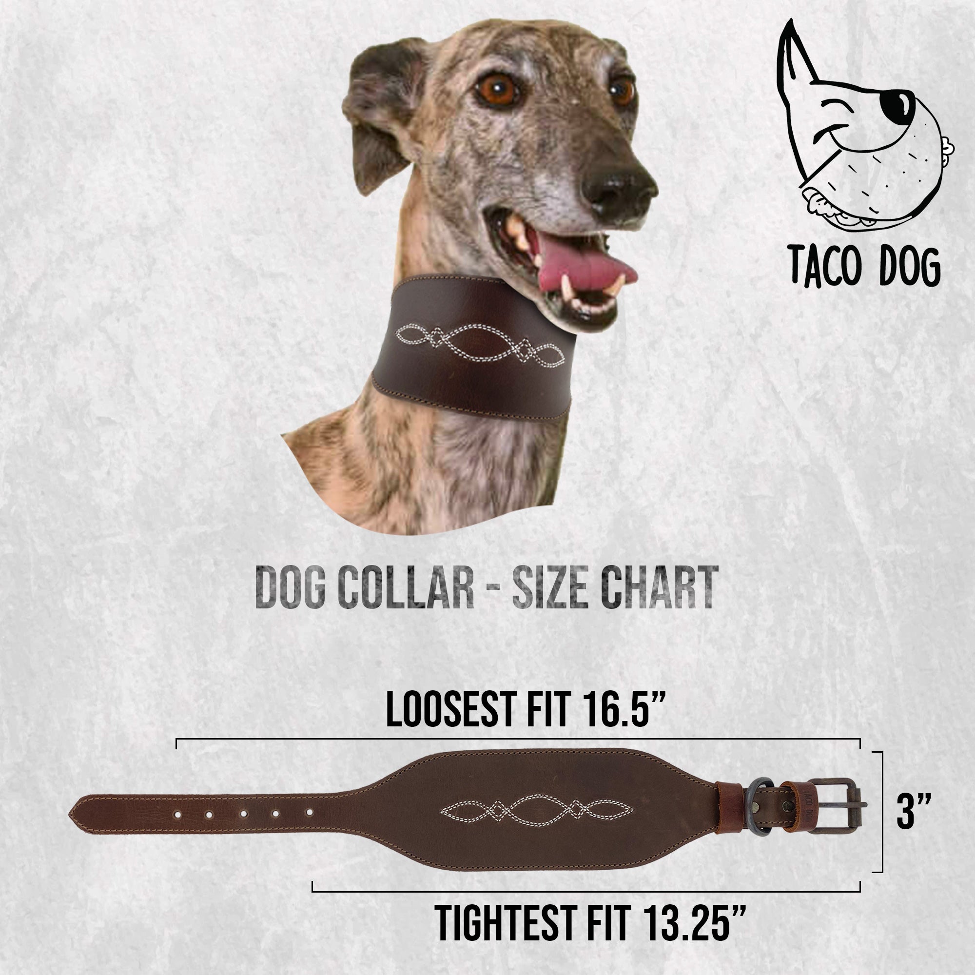 Sighthound Dog Collar - Stockyard X 'The Leather Store'