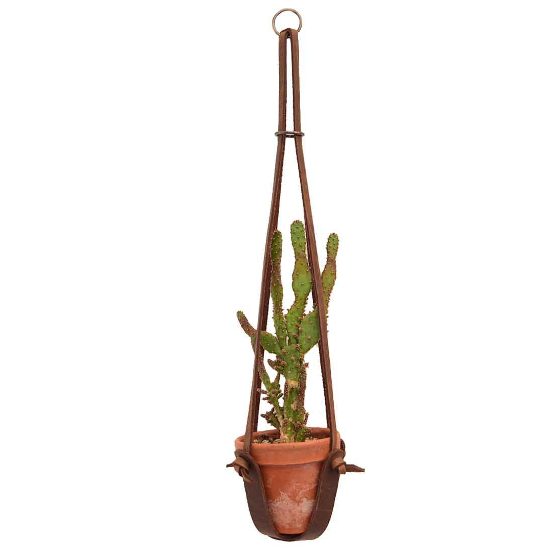 Hanging Plant Holder by Hide & Drink featuring a cactus in a terracotta pot, showcasing rustic charm and durability. This Full Grain Leather Plant Holder serves as a stylish Plant Hanger, perfect for indoor decoration. Experience artisan craftsmanship with small batch production, hand cut and sewn designs, fire branded detailing, uniquely handmade in La Antigua Guatemala & Oaxaca Mexico.